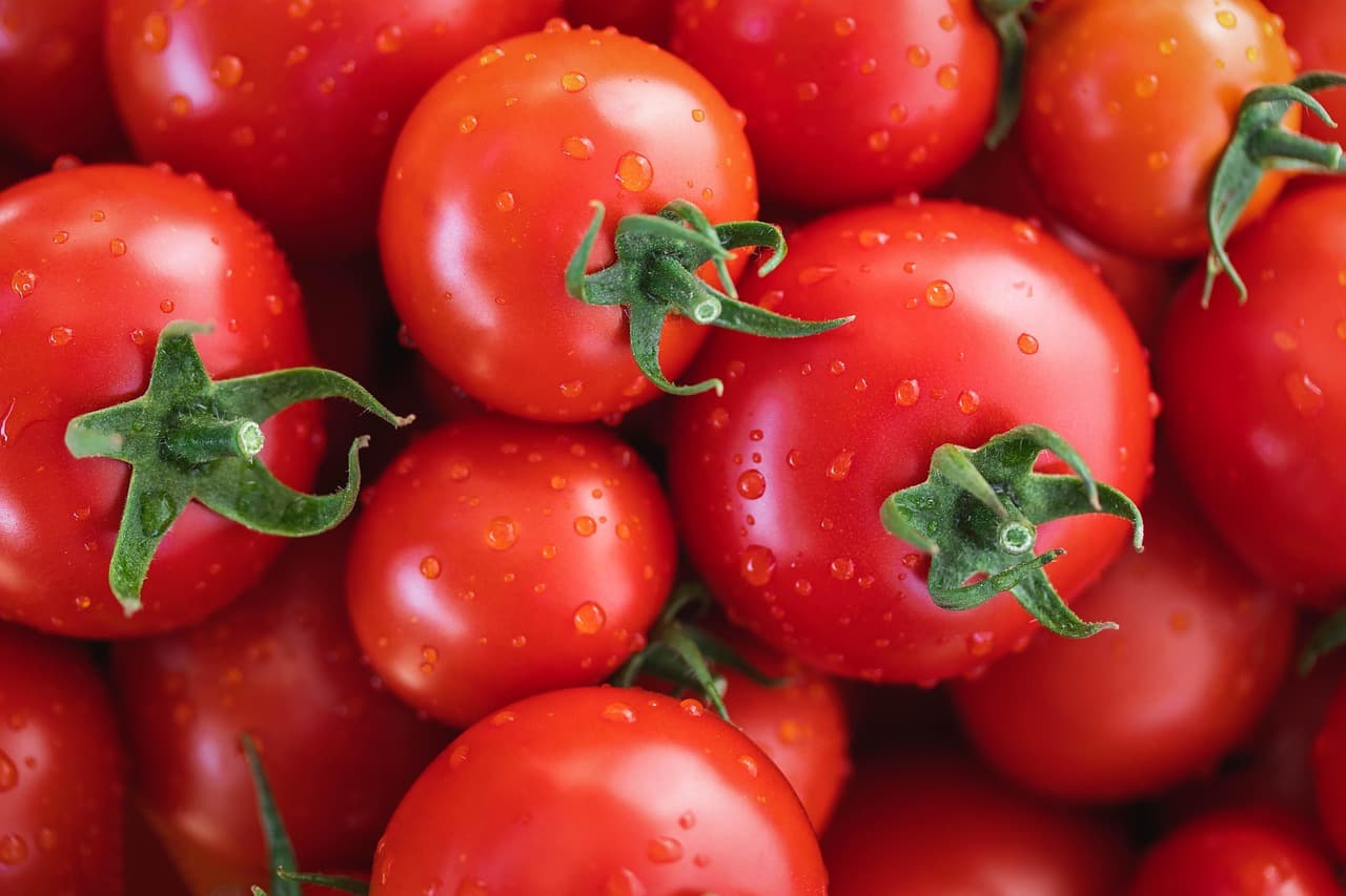 Fresh Tomatoes