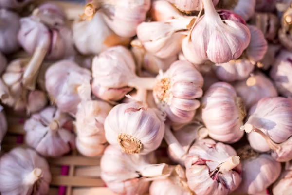 White Garlic